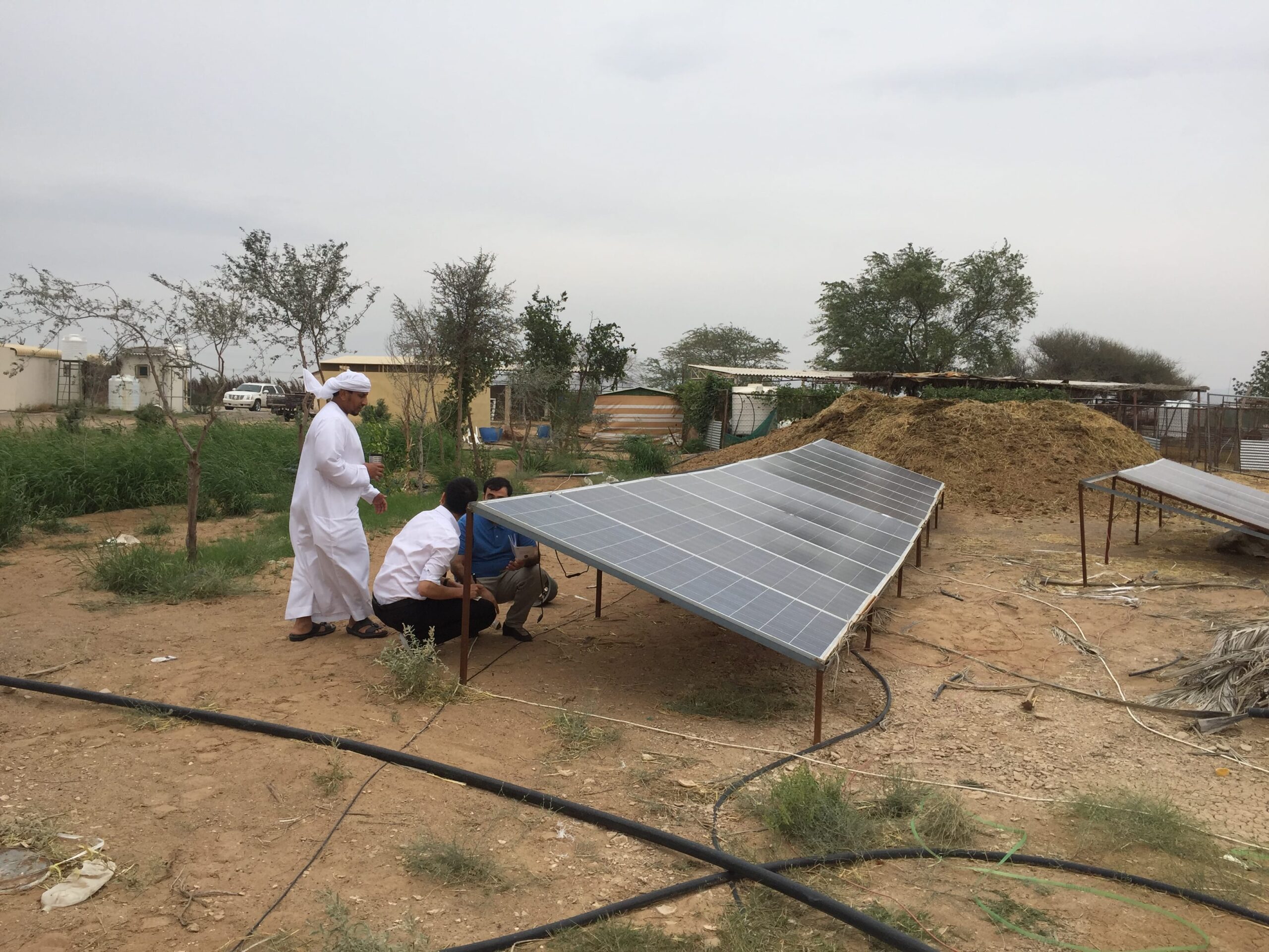 Solar panel installation for water pumping system in Dubai village