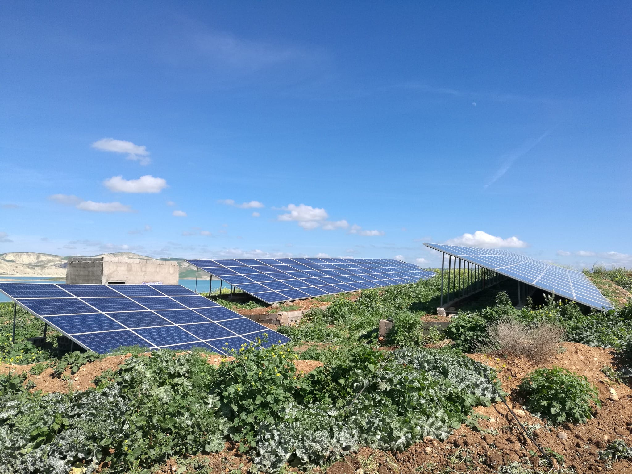 Complete solar powered pond pump system overview Marrakech