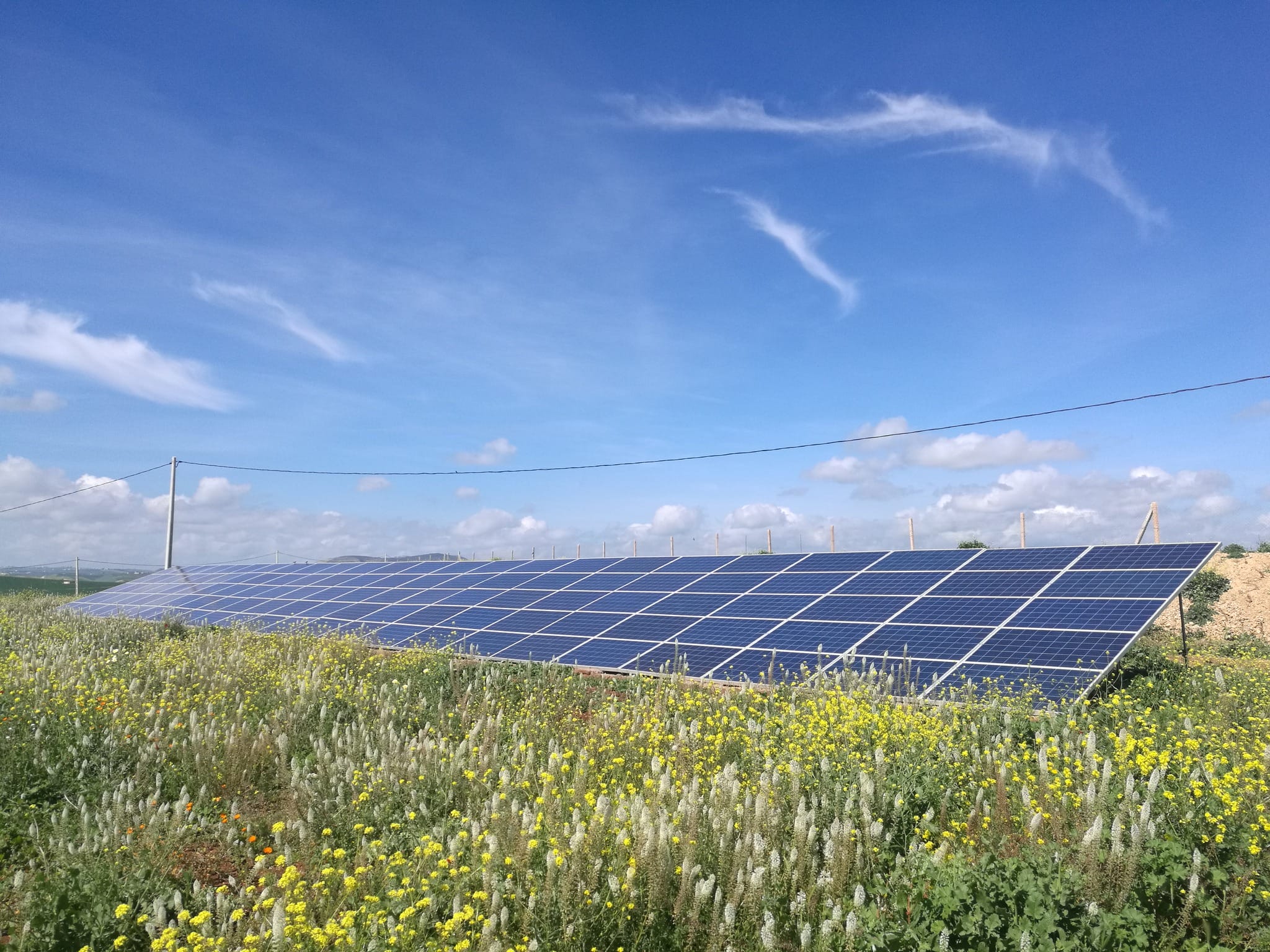 Integrating pump with SP4007 solar inverter