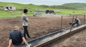 Livestock application in Inner Mongolia, China
