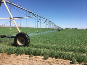 Paraguay 200KW Solar Irrigation Success installation