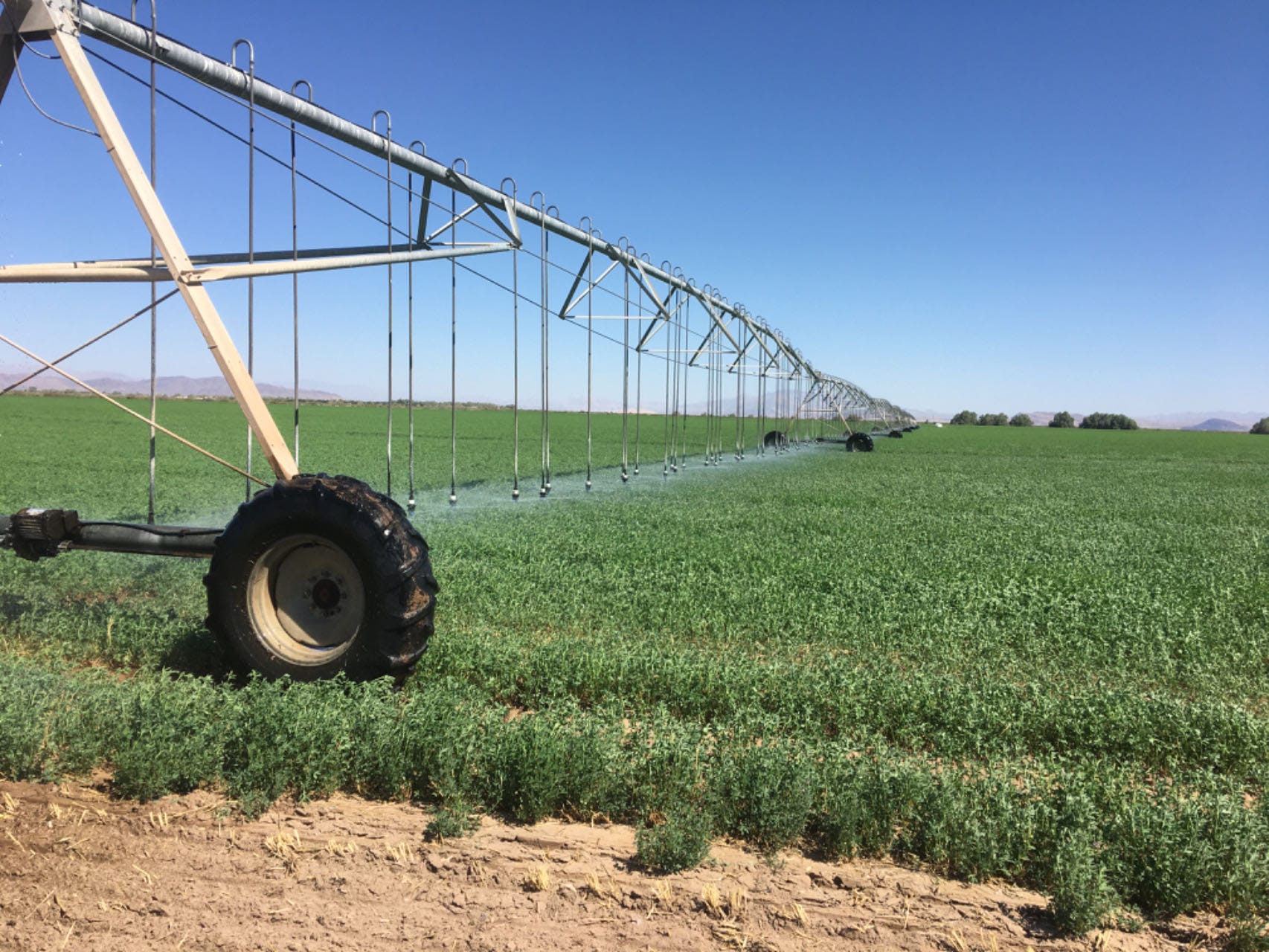 South America Solar Water Pump - Agricultural Irrigation