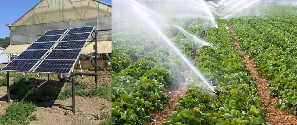 Agricultural solar irrigation project with SolarSeeker solar pump system