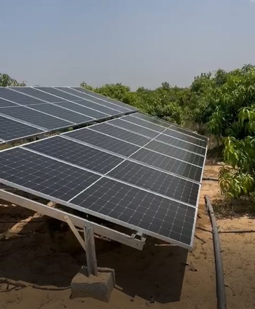Egypt olive farm water pump powered by SolarSeeker inverter