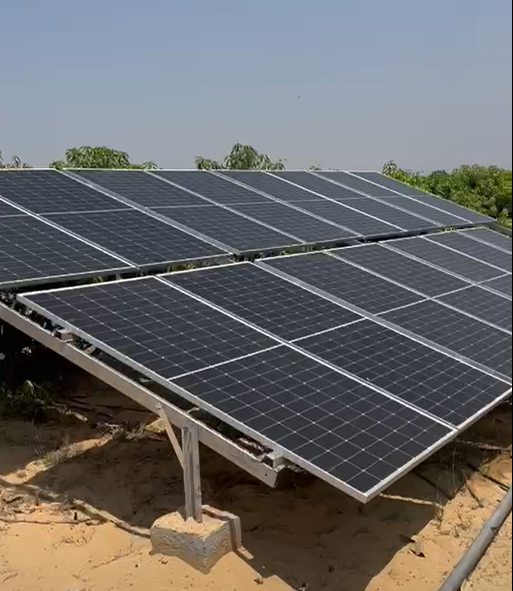 Egypt SP4007 solar pump inverter installation for olive garden irrigation