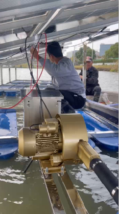 Floating solar panels for Shanghai pond aeration system with SolarSeeker inverter